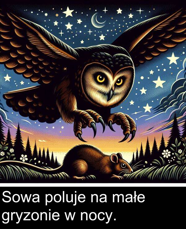 poluje: Sowa poluje na małe gryzonie w nocy.
