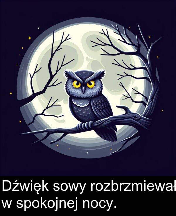 spokojnej: Dźwięk sowy rozbrzmiewał w spokojnej nocy.
