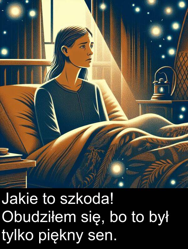 szkoda: Jakie to szkoda! Obudziłem się, bo to był tylko piękny sen.