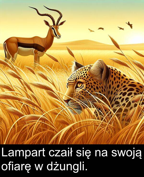 czaił: Lampart czaił się na swoją ofiarę w dżungli.