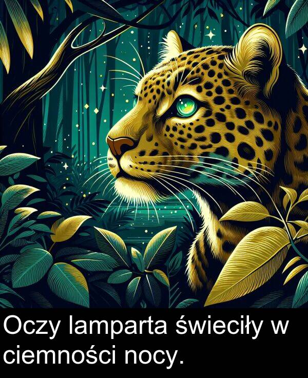 lamparta: Oczy lamparta świeciły w ciemności nocy.