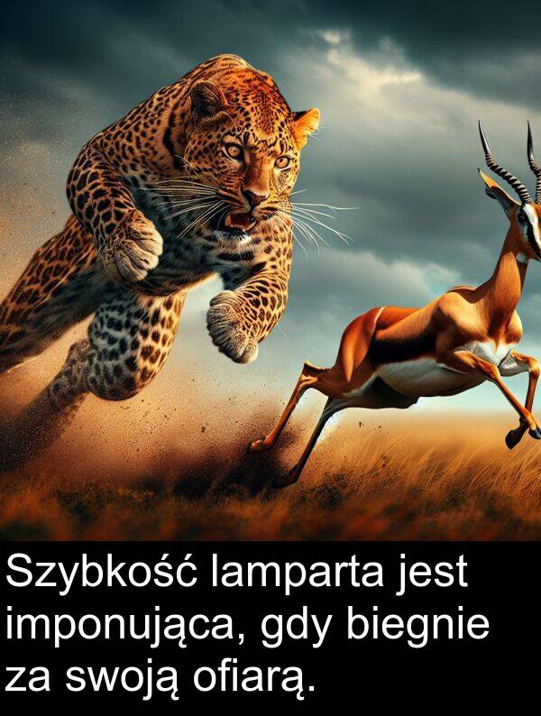 imponująca: Szybkość lamparta jest imponująca, gdy biegnie za swoją ofiarą.