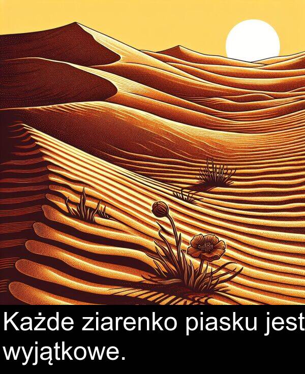 ziarenko: Każde ziarenko piasku jest wyjątkowe.