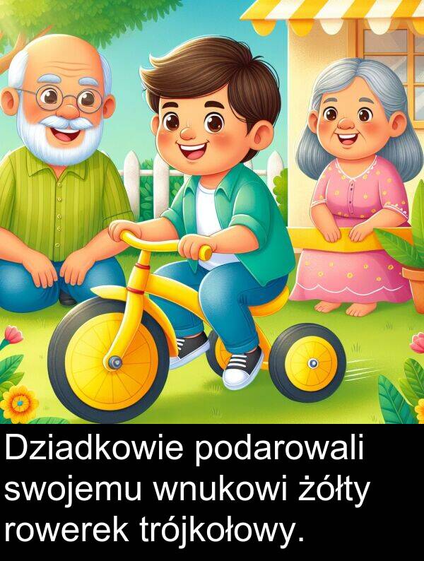 żółty: Dziadkowie podarowali swojemu wnukowi żółty rowerek trójkołowy.