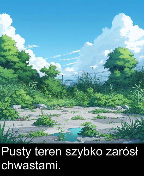 szybko: Pusty teren szybko zarósł chwastami.