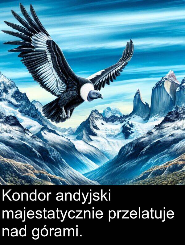 przelatuje: Kondor andyjski majestatycznie przelatuje nad górami.