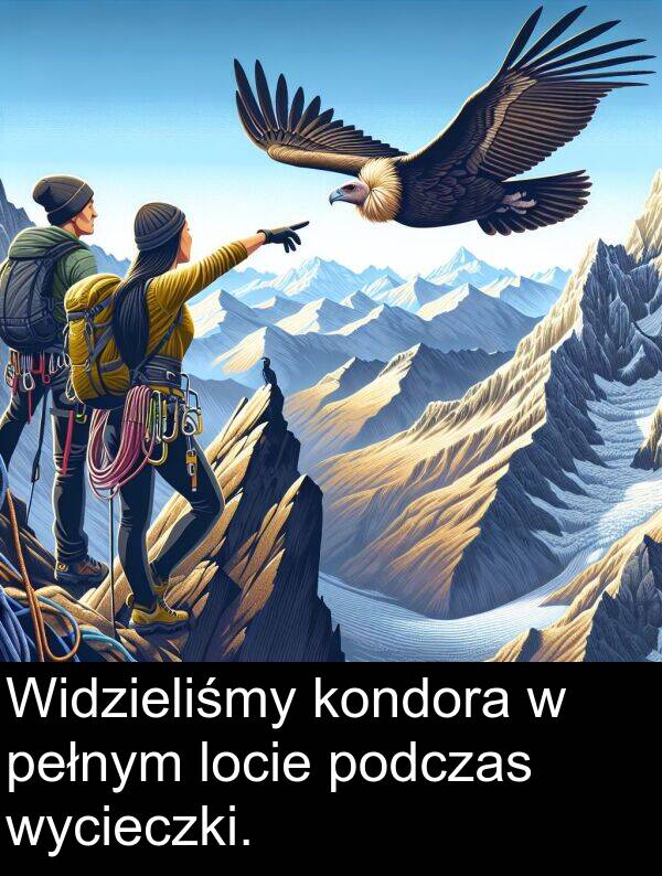 kondora: Widzieliśmy kondora w pełnym locie podczas wycieczki.