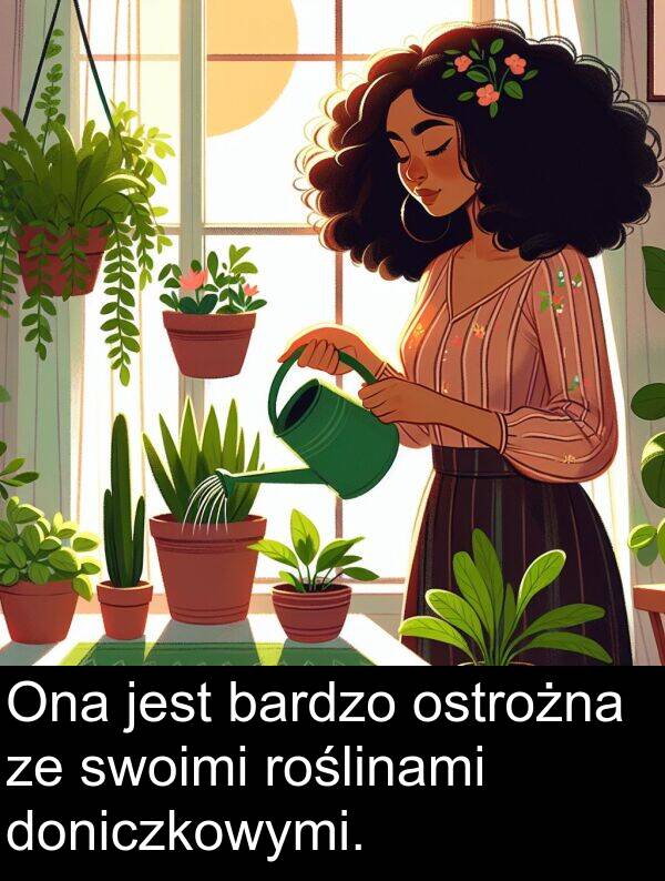 roślinami: Ona jest bardzo ostrożna ze swoimi roślinami doniczkowymi.