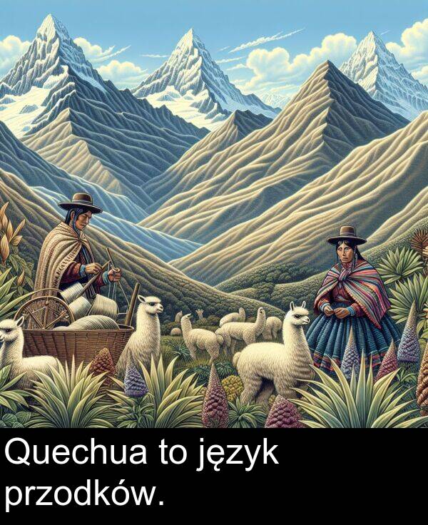przodków: Quechua to język przodków.