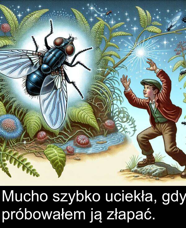 próbowałem: Mucho szybko uciekła, gdy próbowałem ją złapać.