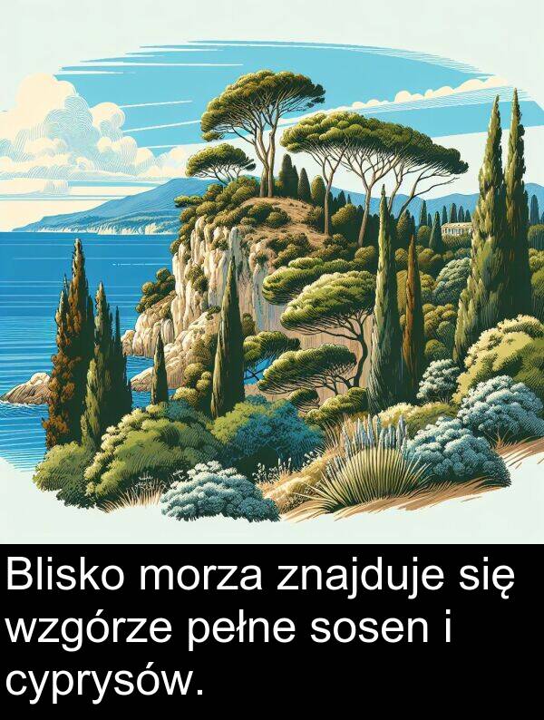 znajduje: Blisko morza znajduje się wzgórze pełne sosen i cyprysów.