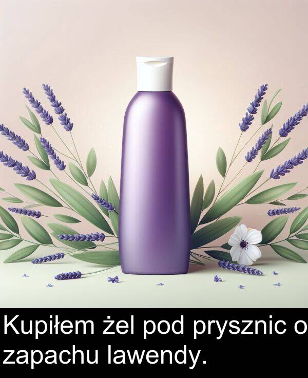 prysznic: Kupiłem żel pod prysznic o zapachu lawendy.