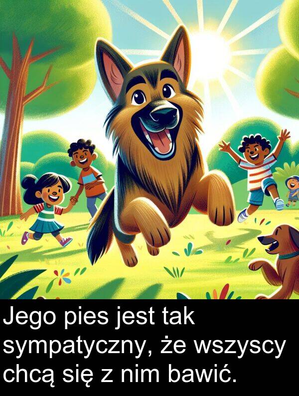 pies: Jego pies jest tak sympatyczny, że wszyscy chcą się z nim bawić.