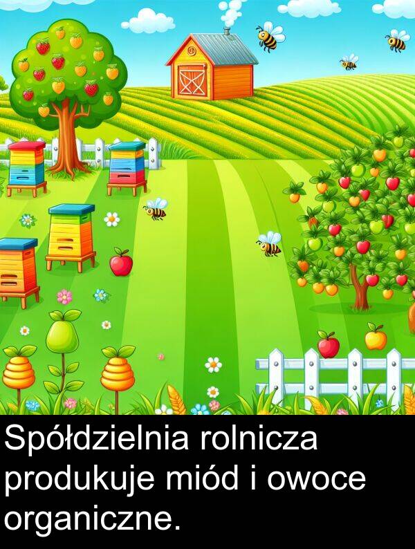 produkuje: Spółdzielnia rolnicza produkuje miód i owoce organiczne.