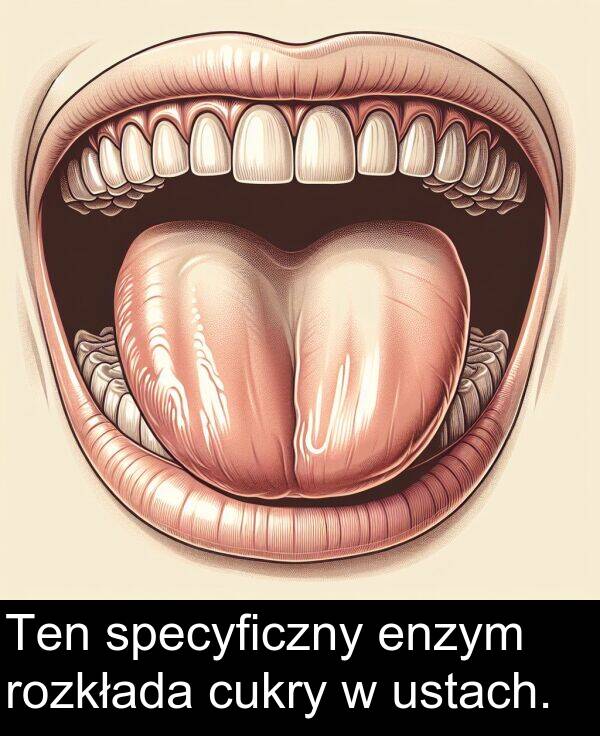 cukry: Ten specyficzny enzym rozkłada cukry w ustach.