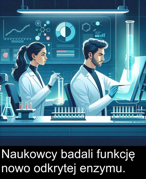 enzymu: Naukowcy badali funkcję nowo odkrytej enzymu.