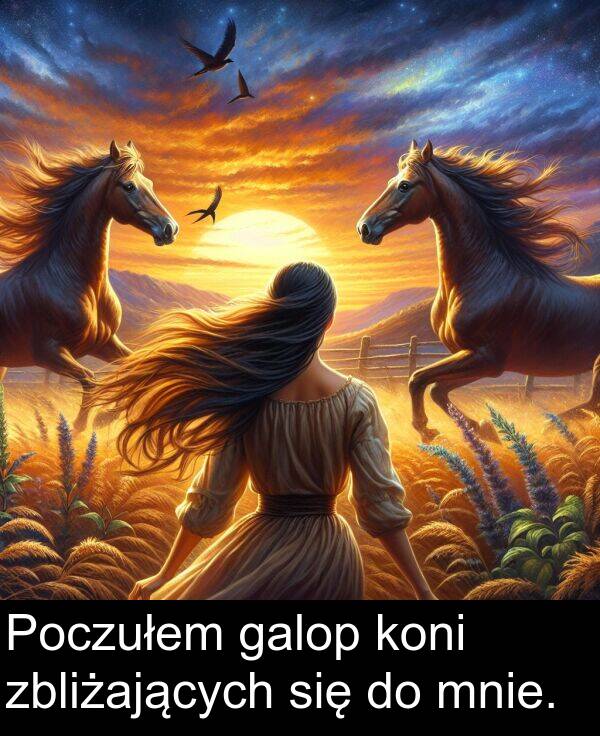 zbliżających: Poczułem galop koni zbliżających się do mnie.