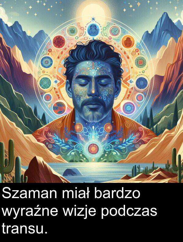 miał: Szaman miał bardzo wyraźne wizje podczas transu.