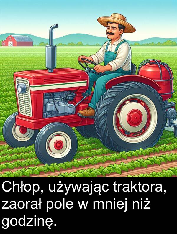 pole: Chłop, używając traktora, zaorał pole w mniej niż godzinę.
