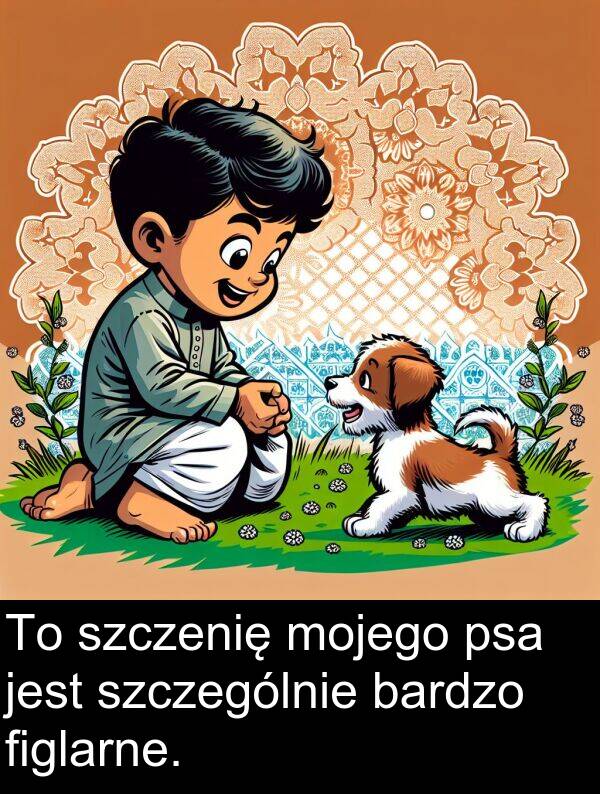 psa: To szczenię mojego psa jest szczególnie bardzo figlarne.