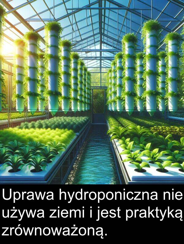 praktyką: Uprawa hydroponiczna nie używa ziemi i jest praktyką zrównoważoną.
