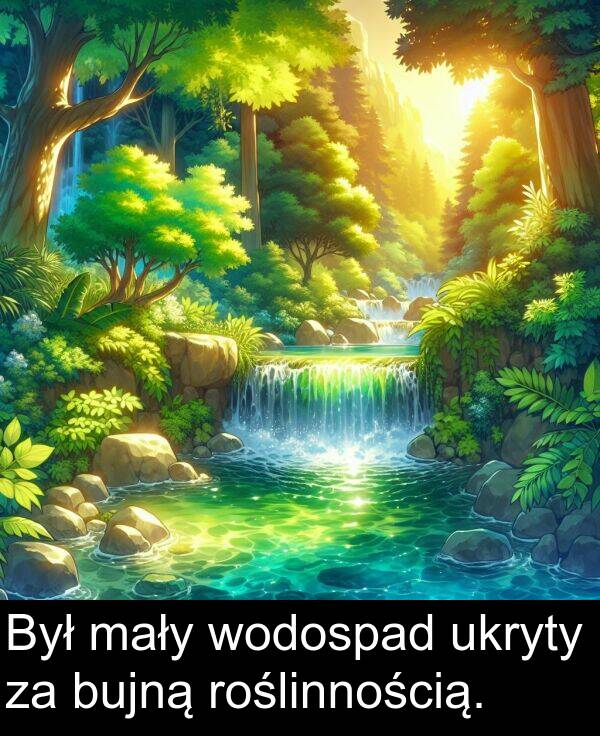 wodospad: Był mały wodospad ukryty za bujną roślinnością.