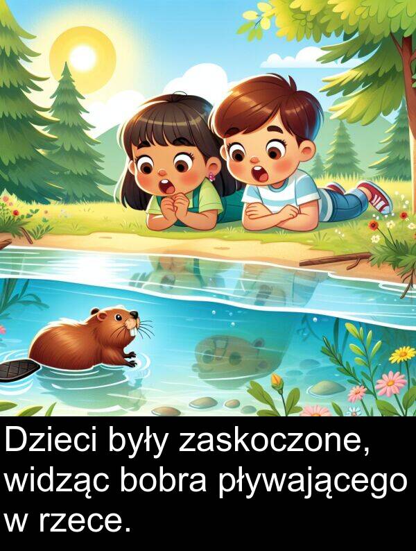 pływającego: Dzieci były zaskoczone, widząc bobra pływającego w rzece.