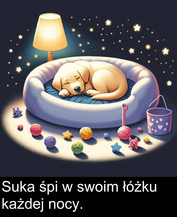 każdej: Suka śpi w swoim łóżku każdej nocy.