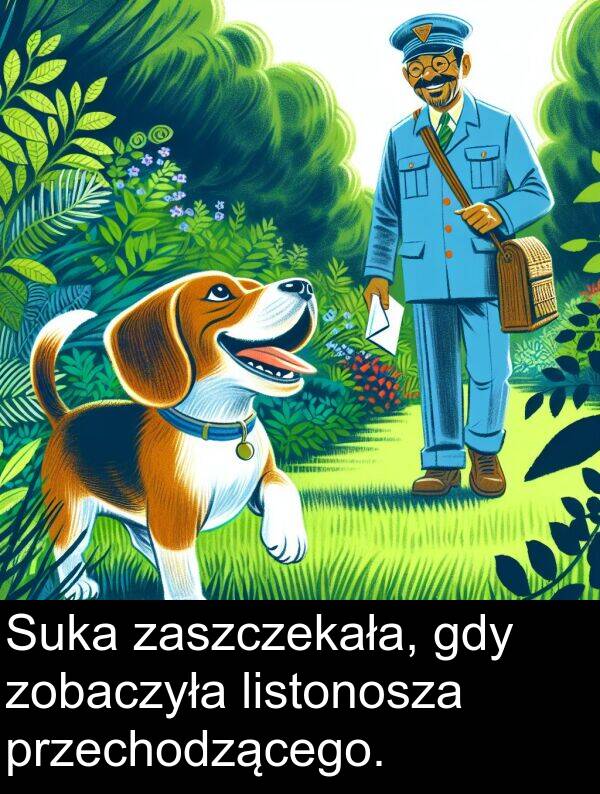 przechodzącego: Suka zaszczekała, gdy zobaczyła listonosza przechodzącego.
