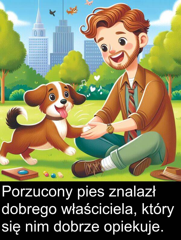 pies: Porzucony pies znalazł dobrego właściciela, który się nim dobrze opiekuje.