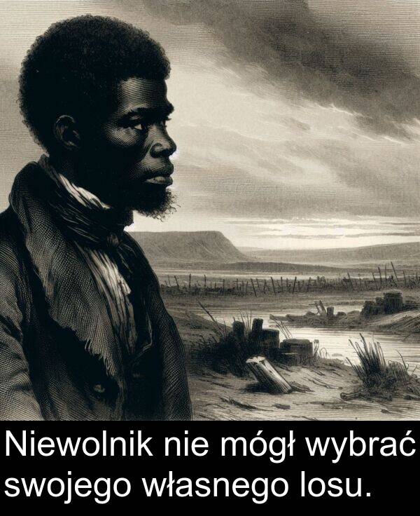 własnego: Niewolnik nie mógł wybrać swojego własnego losu.