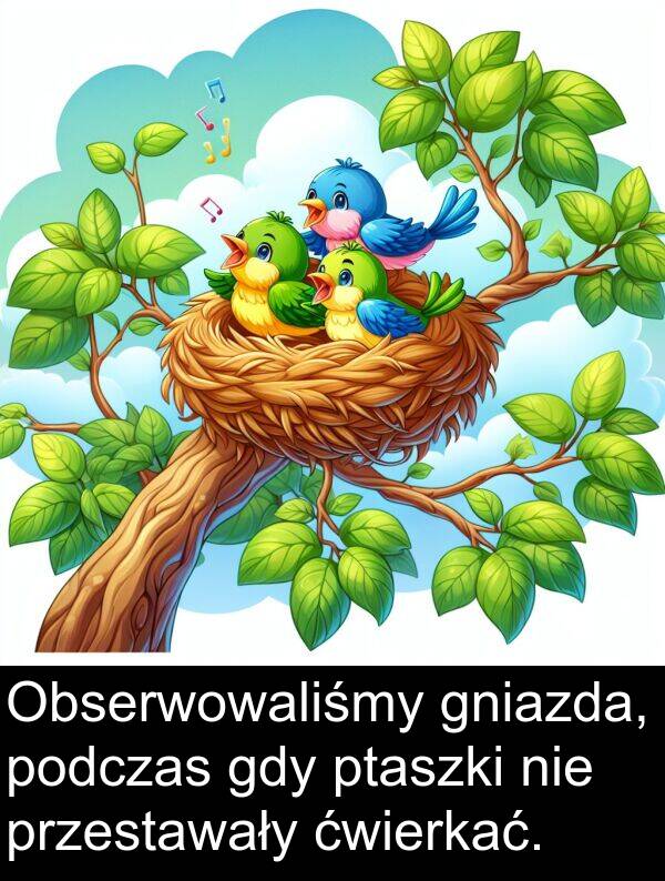 przestawały: Obserwowaliśmy gniazda, podczas gdy ptaszki nie przestawały ćwierkać.
