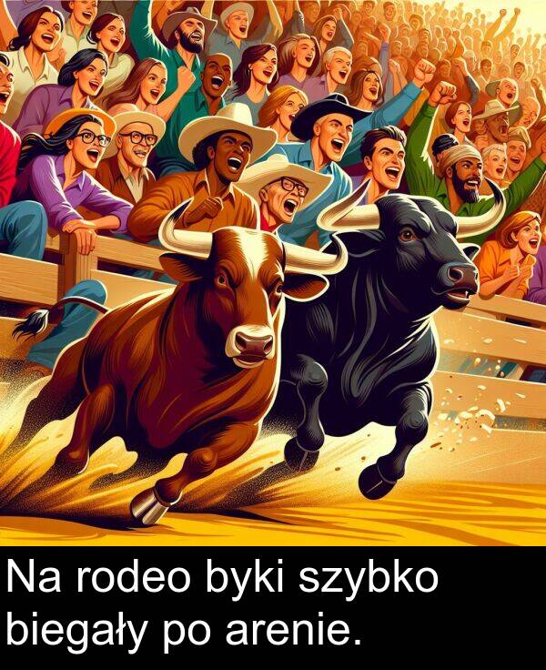 arenie: Na rodeo byki szybko biegały po arenie.