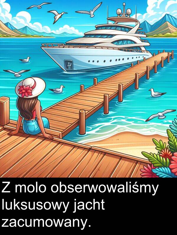 zacumowany: Z molo obserwowaliśmy luksusowy jacht zacumowany.