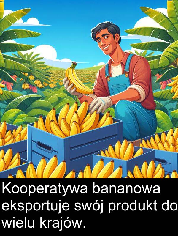 produkt: Kooperatywa bananowa eksportuje swój produkt do wielu krajów.