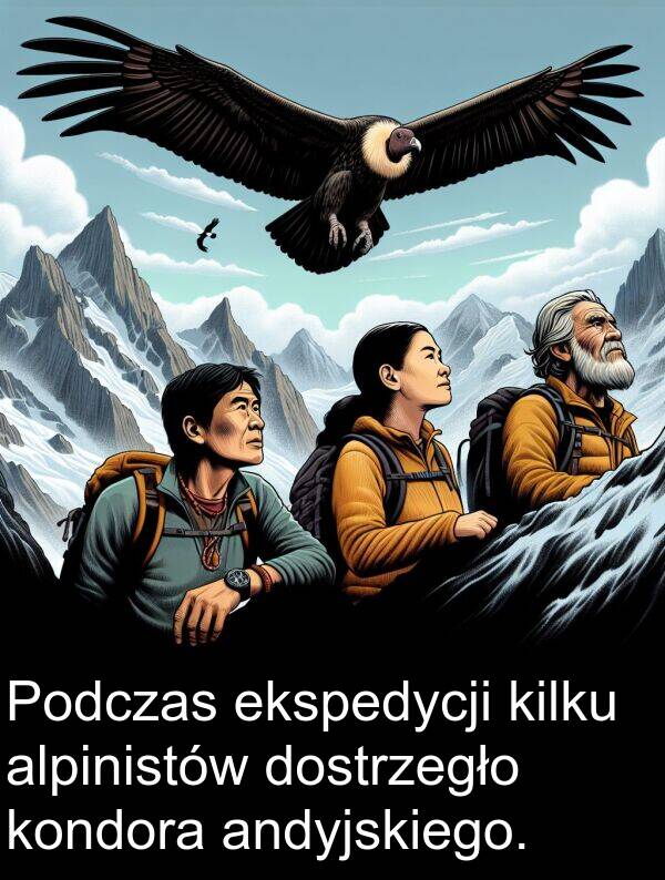 dostrzegło: Podczas ekspedycji kilku alpinistów dostrzegło kondora andyjskiego.
