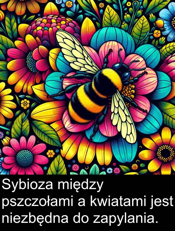 pszczołami: Sybioza między pszczołami a kwiatami jest niezbędna do zapylania.