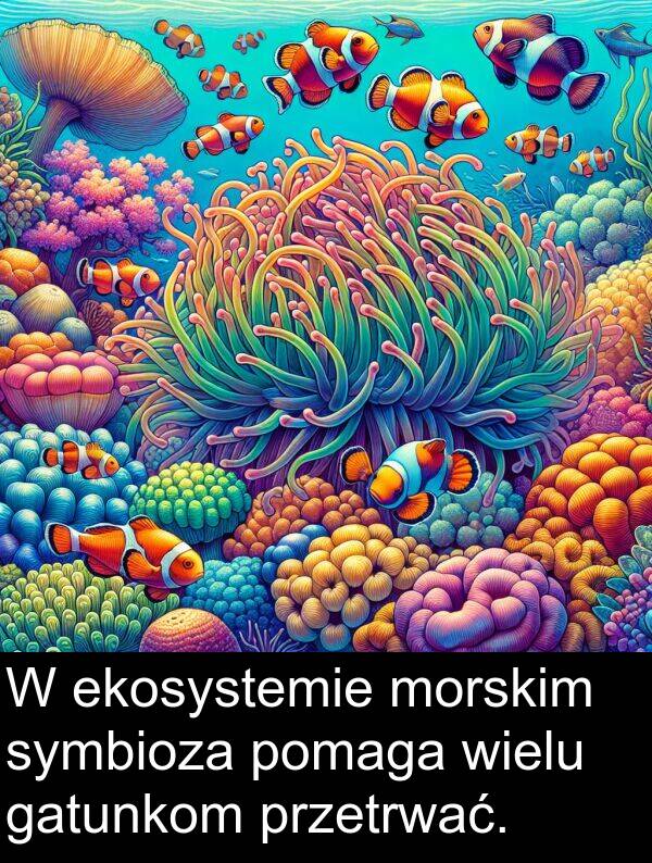 ekosystemie: W ekosystemie morskim symbioza pomaga wielu gatunkom przetrwać.