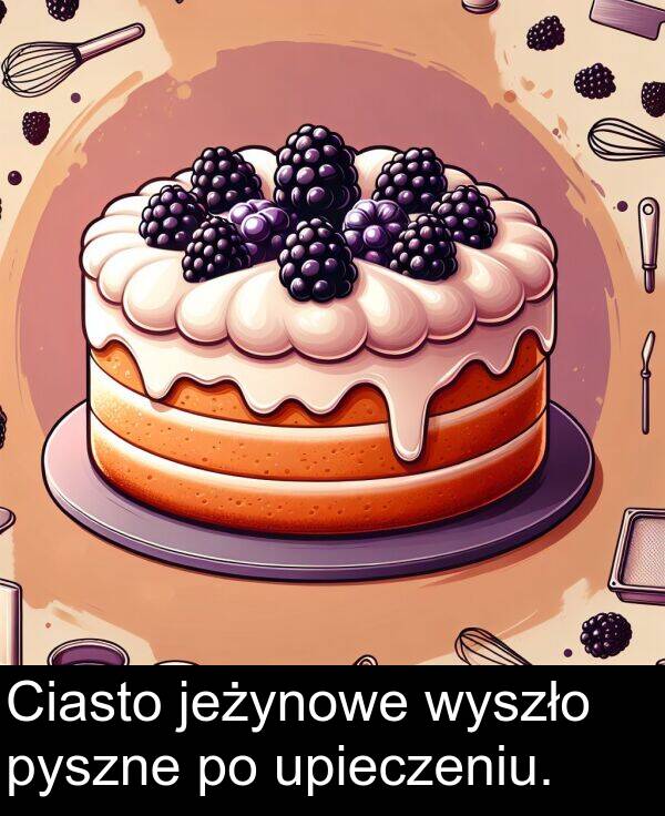 pyszne: Ciasto jeżynowe wyszło pyszne po upieczeniu.