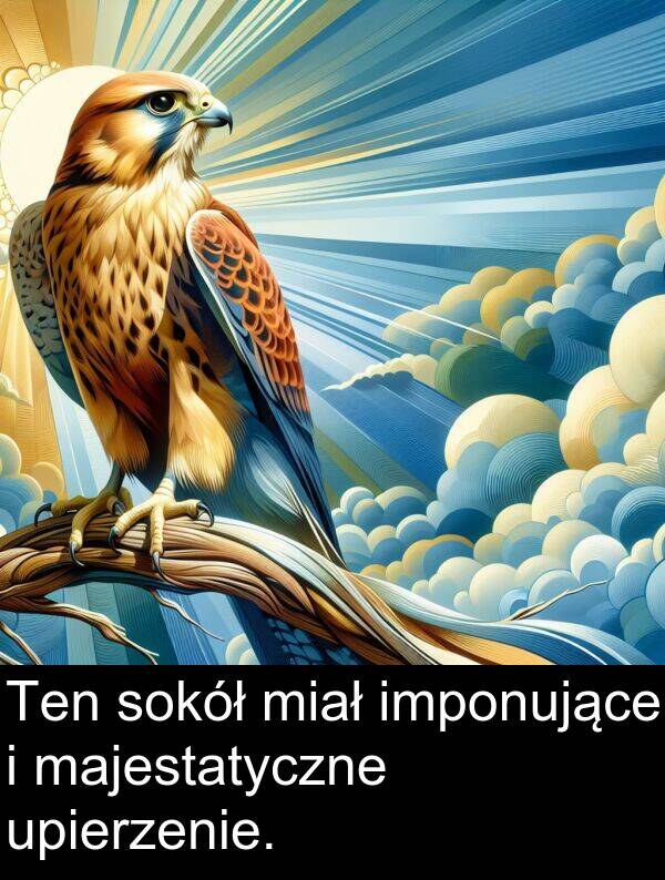 imponujące: Ten sokół miał imponujące i majestatyczne upierzenie.