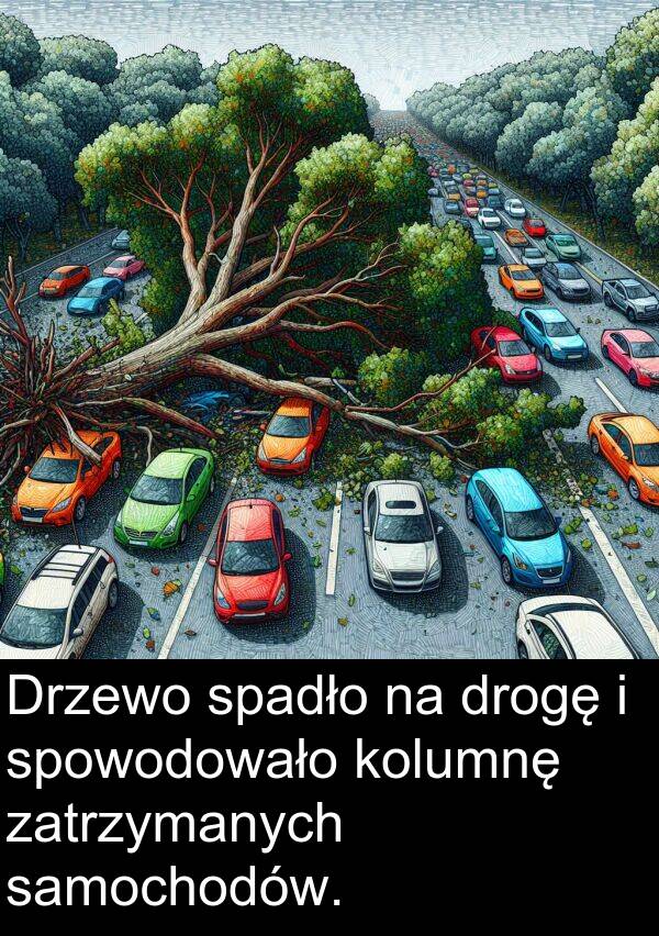 samochodów: Drzewo spadło na drogę i spowodowało kolumnę zatrzymanych samochodów.