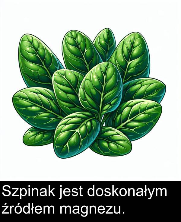 źródłem: Szpinak jest doskonałym źródłem magnezu.