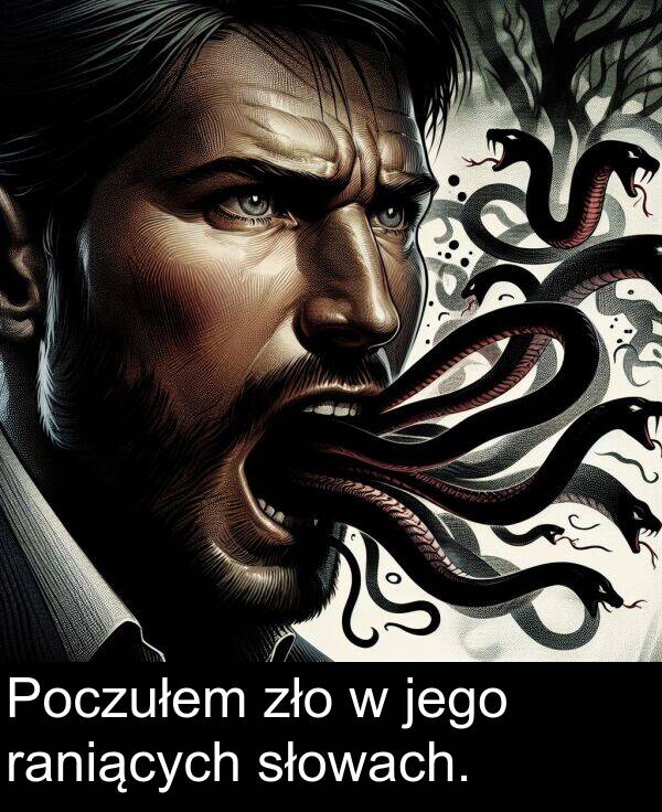 zło: Poczułem zło w jego raniących słowach.
