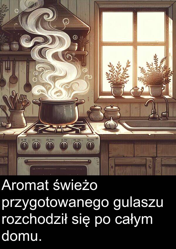 przygotowanego: Aromat świeżo przygotowanego gulaszu rozchodził się po całym domu.