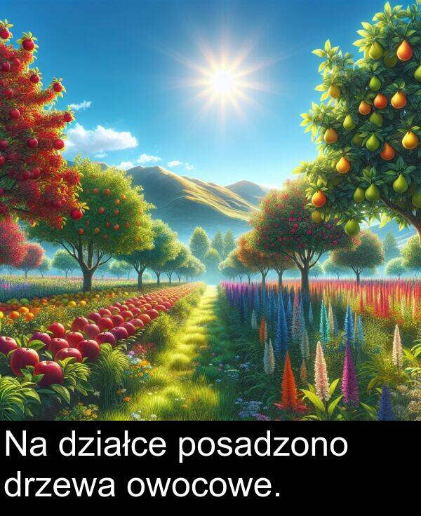 posadzono: Na działce posadzono drzewa owocowe.