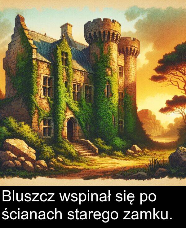 wspinał: Bluszcz wspinał się po ścianach starego zamku.