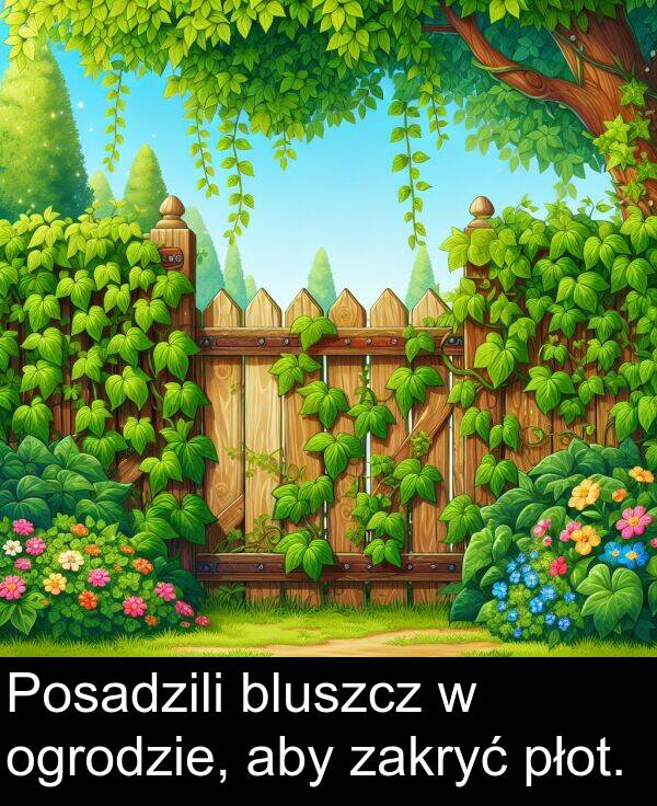 płot: Posadzili bluszcz w ogrodzie, aby zakryć płot.