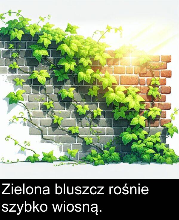 wiosną: Zielona bluszcz rośnie szybko wiosną.