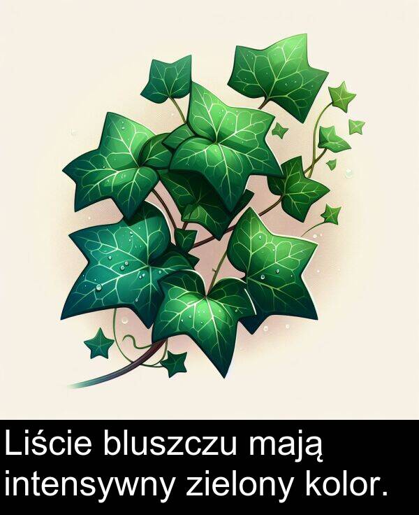 zielony: Liście bluszczu mają intensywny zielony kolor.