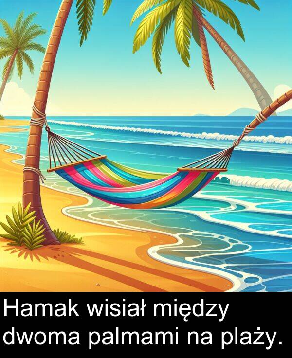 palmami: Hamak wisiał między dwoma palmami na plaży.